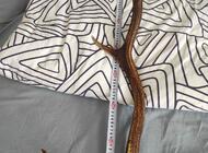 Grajewo ogłoszenia: Sprzedam waga 6,84 cena do uzgodnienia - zdjęcie